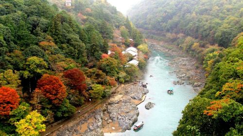 Kyoto: Guided Sightseeing Bus Tour in Japanese Day Tours
