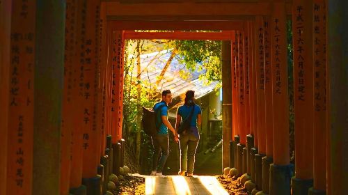 Kyoto Fushimi-Inari Night Walking Tour Day Tours