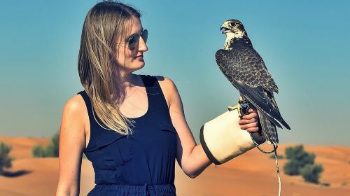Premium Red Dunes Safari with BBQ dinner and Camel Ride Day Tours