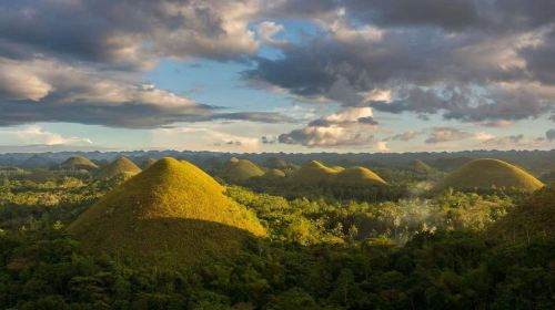 Bohol Island Dolphin Watching & Balicasag Island Snorkeling & Loboc River & Chocolate Hills & Tarsier & Butterfly Garden