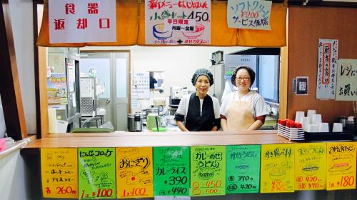 Mt. Fuji Fruit Picking, Lake Kawaguchi Train & Oishi Park 1-Day Tour