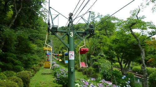 Amanohashidate, Chionji Temple & Miyama Town 1-Day Tour with Cruise & Cable Car