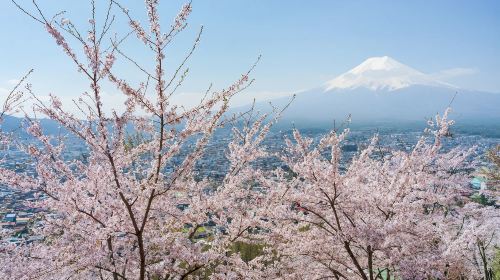 From Yokohama Port: Private 10-Hour Mount Fuji Tour
