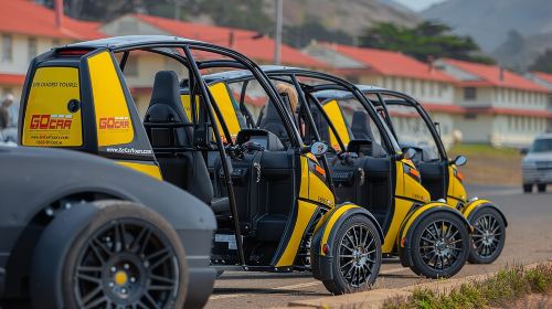 GPS Talking Electric GoCar: 2 Hour Coronado tour Day Tours