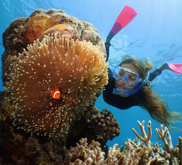 Port Douglas: Quicksilver Outer Barrier Reef Full-Day Cruise