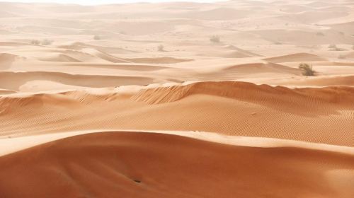 From Fujairah Safari: 4x4 Desert Safari with BBQ Dinner Day Tours