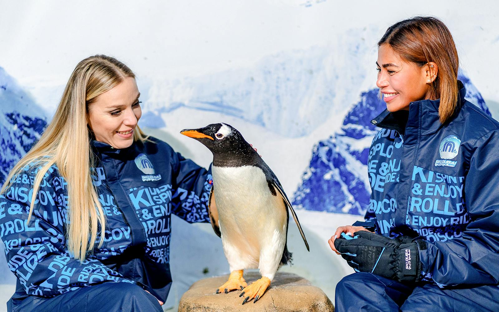Ski Dubai: Snow Premium Tickets with Penguin Encounter