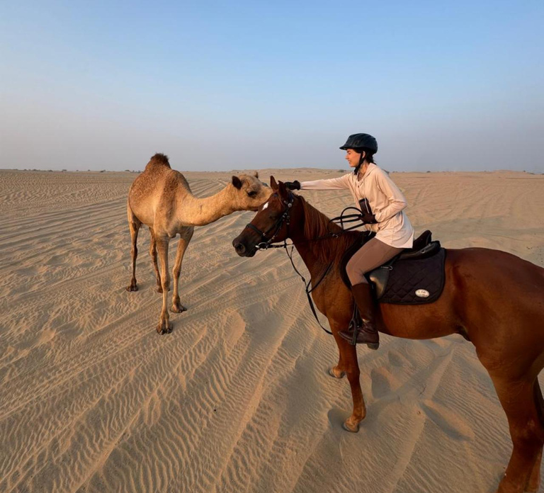 Dubai: Horse Riding Experience with Ride-Thru Açaí Stop