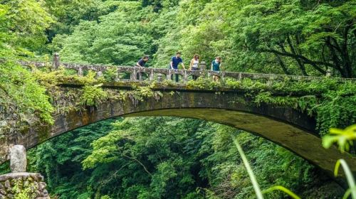 Kyushu Nature Escape Day Tour: Takachiho Gorge, Amano-Iwato & More Day Tours