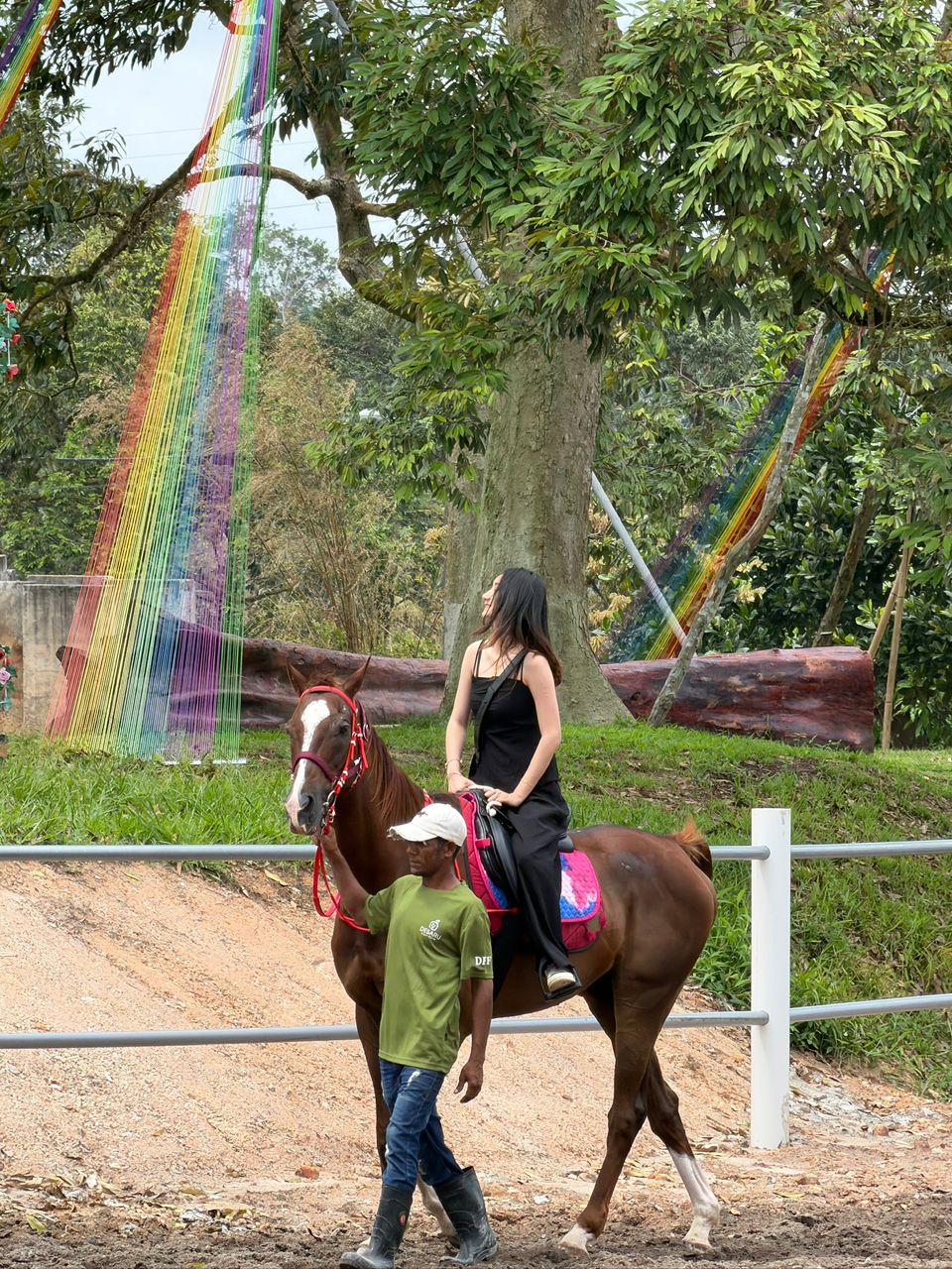 Desaru Fruit Farm Horse Riding Experience