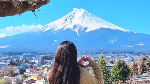 [Guaranteed Departure] Mt. Fuji Highlight Photo Spots One Day Tour Day Tours
