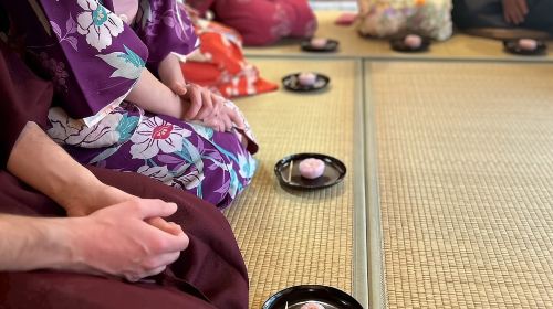 A Unique Antique Kimono and Tea ceremony Experience in English