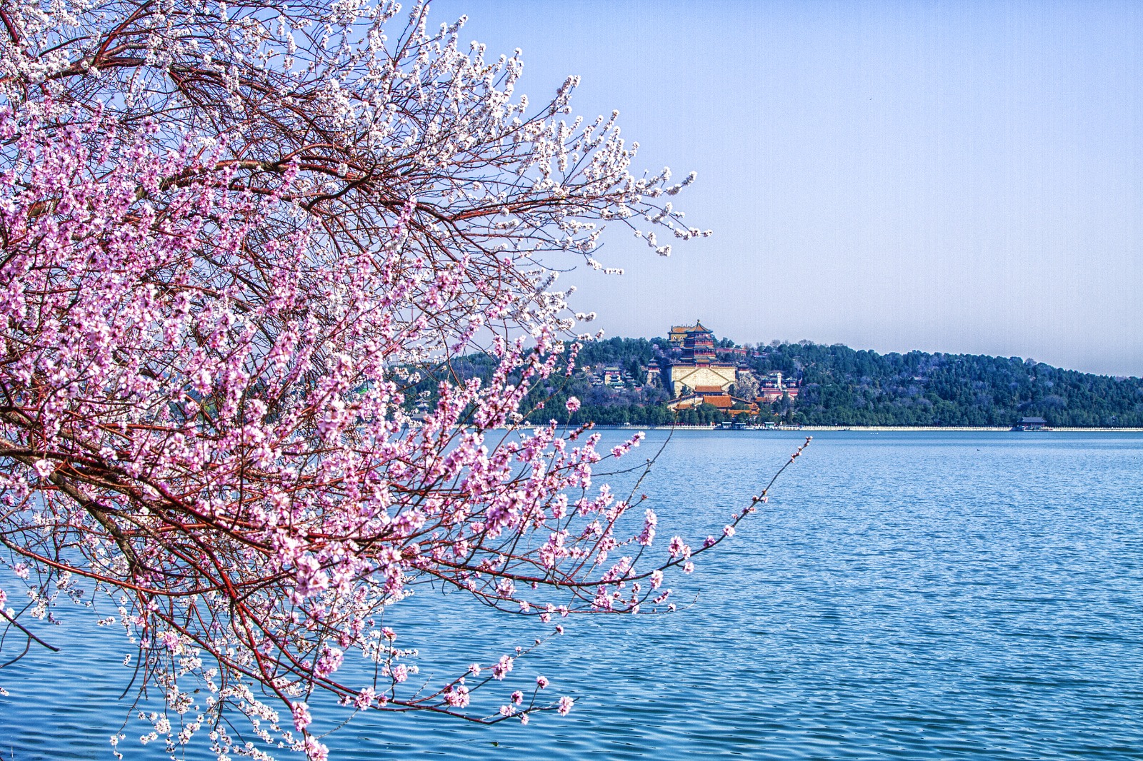 Summer Palace Admission Ticket + 2.5 hours  Guided Tour Service