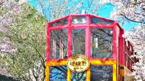 Small group of 9: Kyoto 1-day tour to Kifune shrine, Arashiyama and Sanzen-in