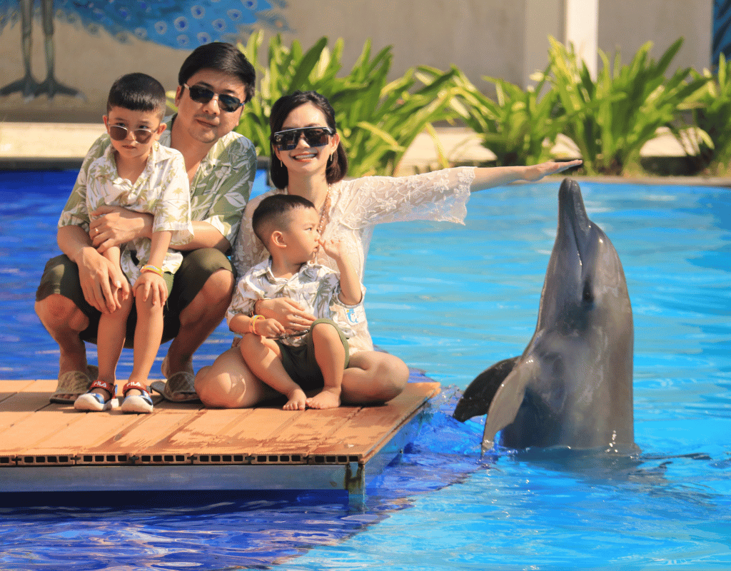 Bali Dolphin: Encounter Program "Playtime with Dolphin"