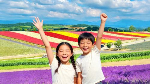1-Day Flower Viewing Tour from Sapporo: Biei, Shikisai-no-Oka & Shirogane Blue Pond