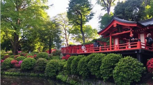Tokyo: Old Town History Walking Tour(Nezu&Yanaka) Day Tours