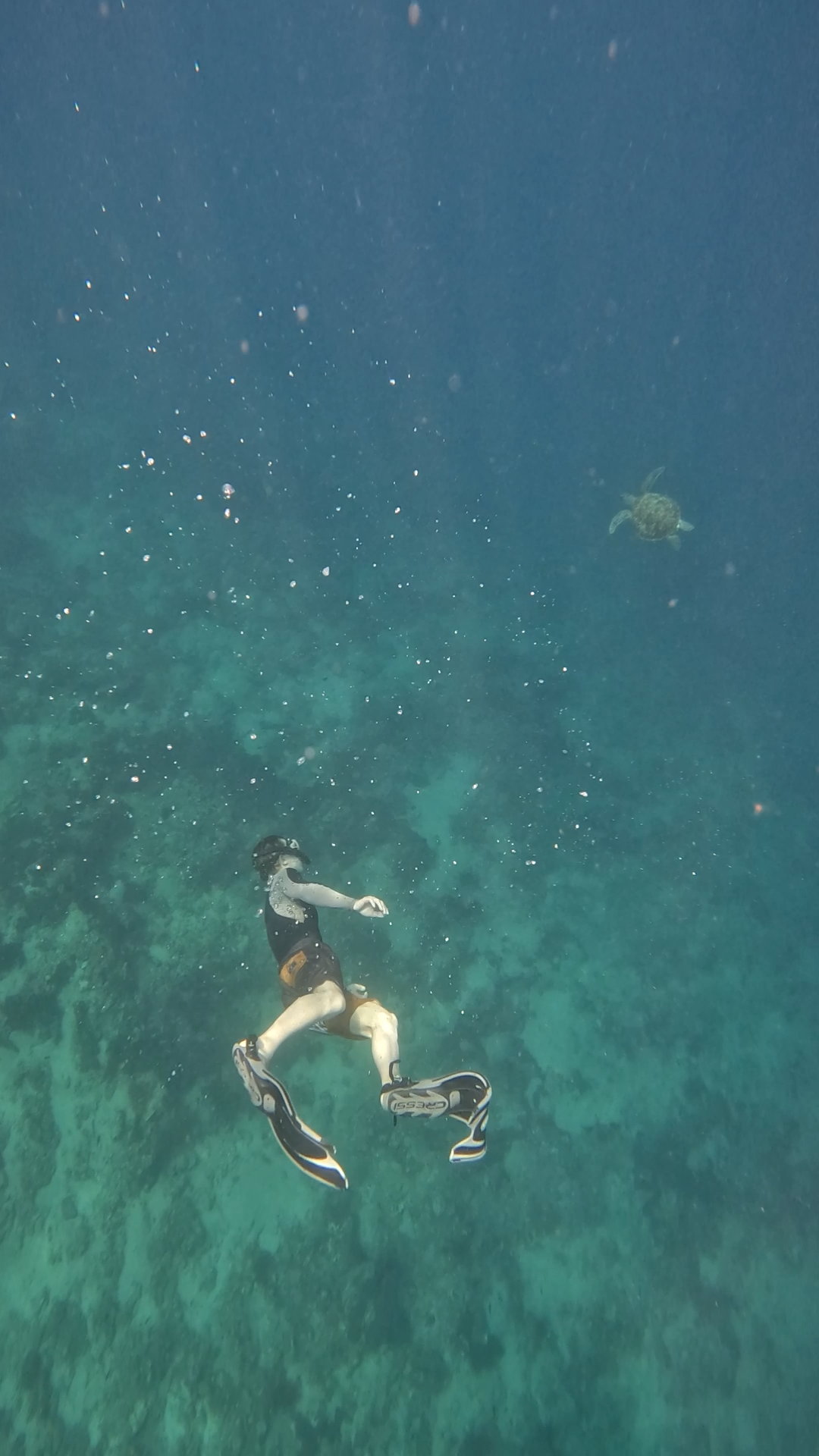 Secrate Island Private Snorkling Tour in lombok with go pro