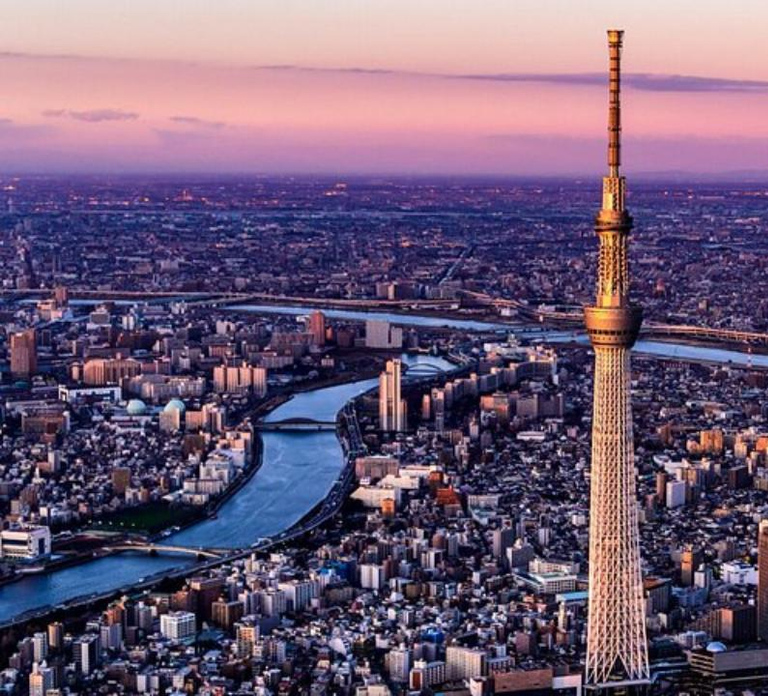 Tokyo : Tokyo Full-Day Sightseeing City Tour Driver / Guide