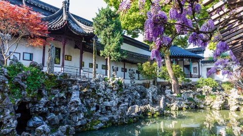 Lion Grove Garden(Shizilin Garden)