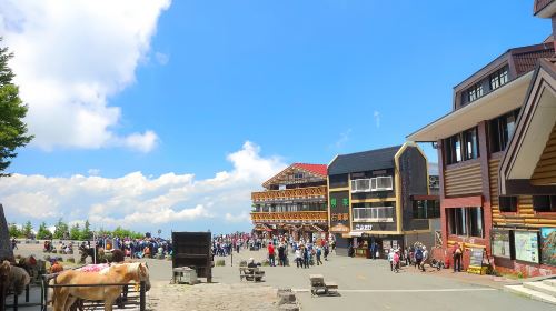 Tokyo Mount Fuji 1-day tour to Fuji Subaru Line 5th Station – Oshino Hakkai