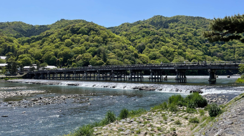 Private charter/transfer/translation in Nara/Uji with Chinese-speaking driver. Customizable itinerary