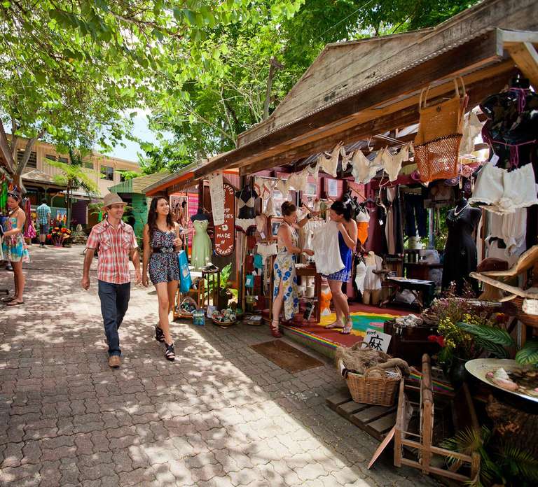 From Cairns: Kuranda Tour with Transfer