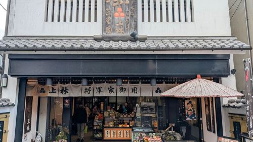 Uji Byodoin Temple/Tale of Genji Museum + Nara Park Deer Feeding Day Trip