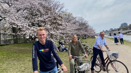 Cycle Kyoto's Hidden Gems & Gion Stroll Day Tours