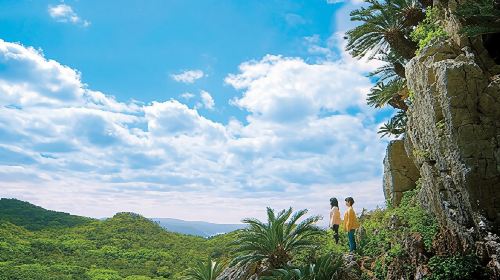 Okinawa Hip-Hop Bus C Course Tour to Northern Island Day Tours