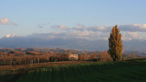 [Biei/Furano] One-day sightseeing by private car! Day Tours