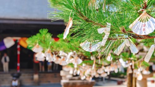 Kyoto in One Day: Amanohashidate, Ine Funaya & Miyama Thatched Village Day Tours