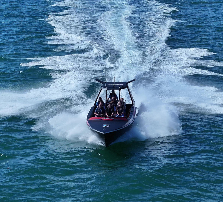 Noosa: Noosa Ocean & Dolphin Adventure