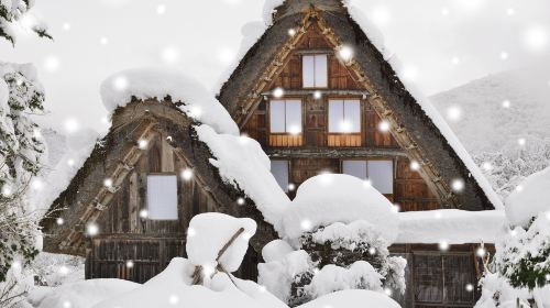 World Heritage Day Tour – Explore Shirakawa-go and Gokayama Thatched Villages with Nohi Bus
