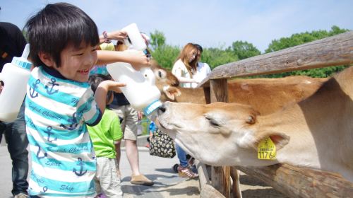 Nasu Rindo Lake Family Ranch