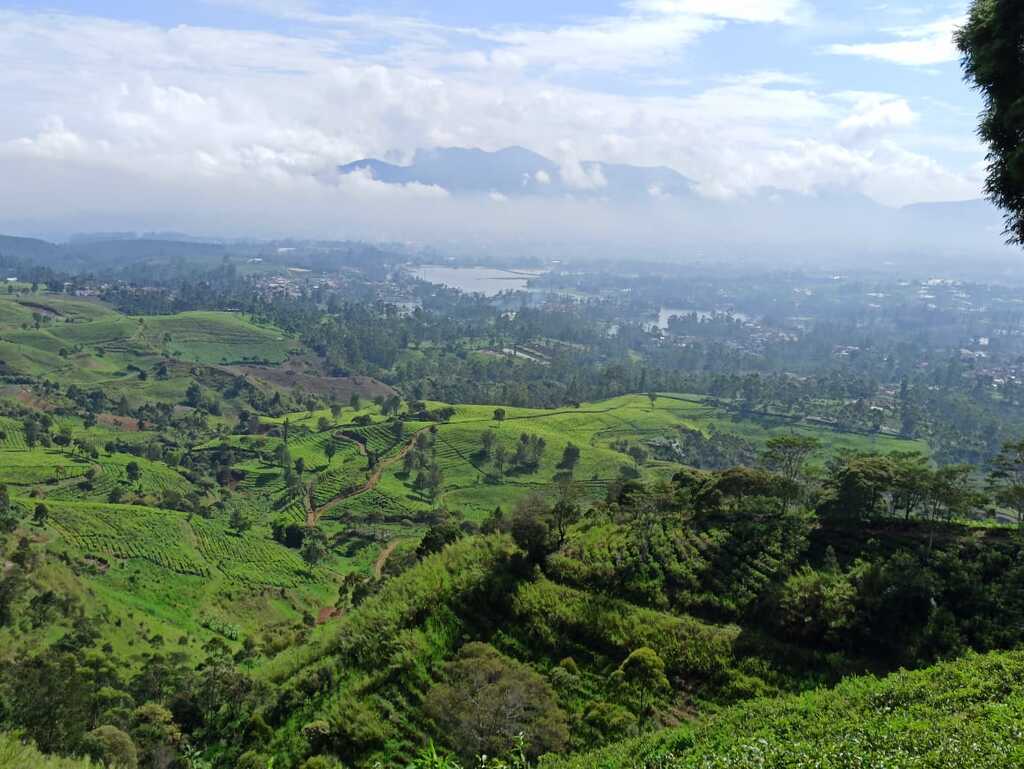 Fun Offroad Pangalengan Bandung – Land Rover Pine Forest Adventure