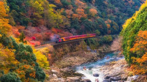 [Osaka/Kyoto Departure] Kyoto Day Tour | Arashiyama + Kifune Shrine + Sanzen-in (Optional Sagano Romantic Train | Seasonal Sakura Viewing) Day Tours