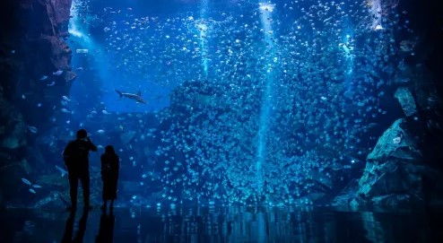 Xpark Aquarium Tickets