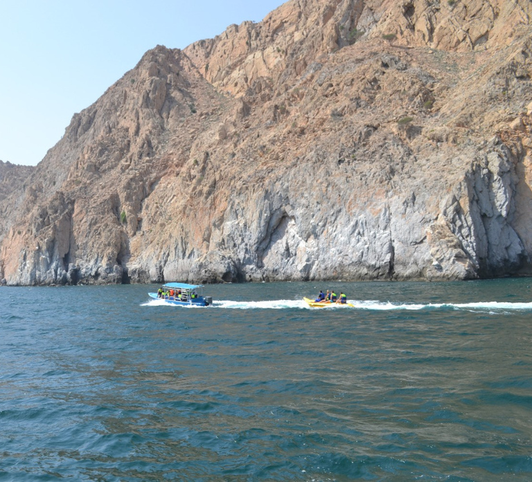 Dubai: Full-Day Sea Safari to Musandam