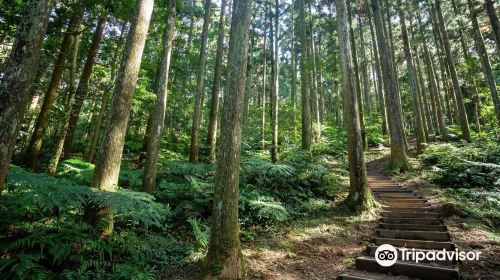 Dongyanshan National Forest Recreation Area