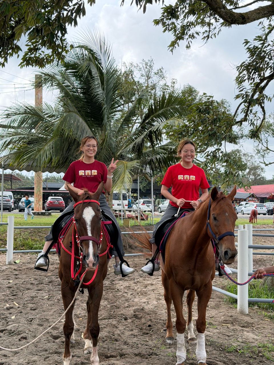 Desaru Fruit Farm Horse Riding Experience