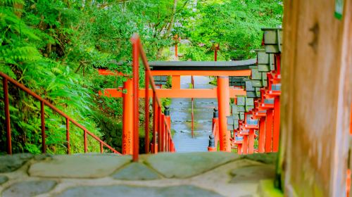 1-day tour to ancient temples in Kyoto + Fushimi Inari Taisha in Japan Day Tours