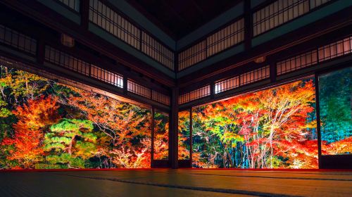 Kyoto autumn foliage 1-day tour: Nanzen-ji Temple + Nishiki Market + Gion + Nijō Castle night illumination show Day Tours
