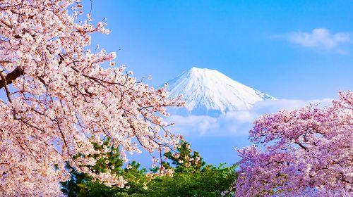 Mt. Fuji and Lake Kawaguchi Panoramic Day Tour [9-Person or Regular Group Option | Door-to-Door Pickup Available | Bilingual Chinese-English] Day Tours