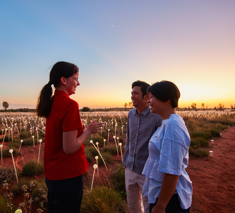 Uluru: Field of Light Sunrise Tour with Hot Drinks