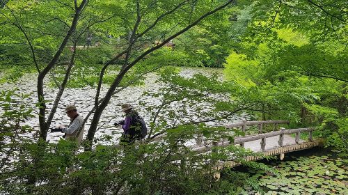Private Car Day Trip to the Kobe Mountains, Gardens and Hot Springs from Osaka