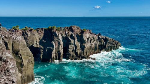 Izu Omuroyama Day Tour from Tokyo: Mt. Omuro, Shaboten Zoo & Jogasaki Coast