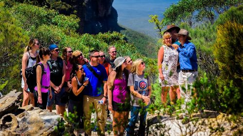 Blue Mountains Deluxe Small-Group Eco Wildlife Tour from Sydney Day Tours