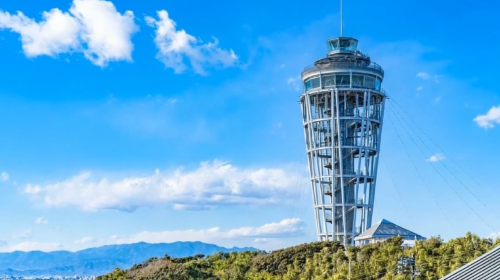 Kamakura All-in-One Tour: Gokurakuji Temple, Enoshima, and Enoden Railway Experience Day Tours