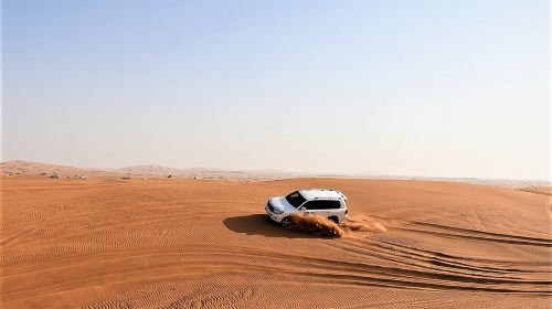 Premium Red Dunes Bashing with Quad Bike, Camel, Falcon &VIP Camp Day Tours